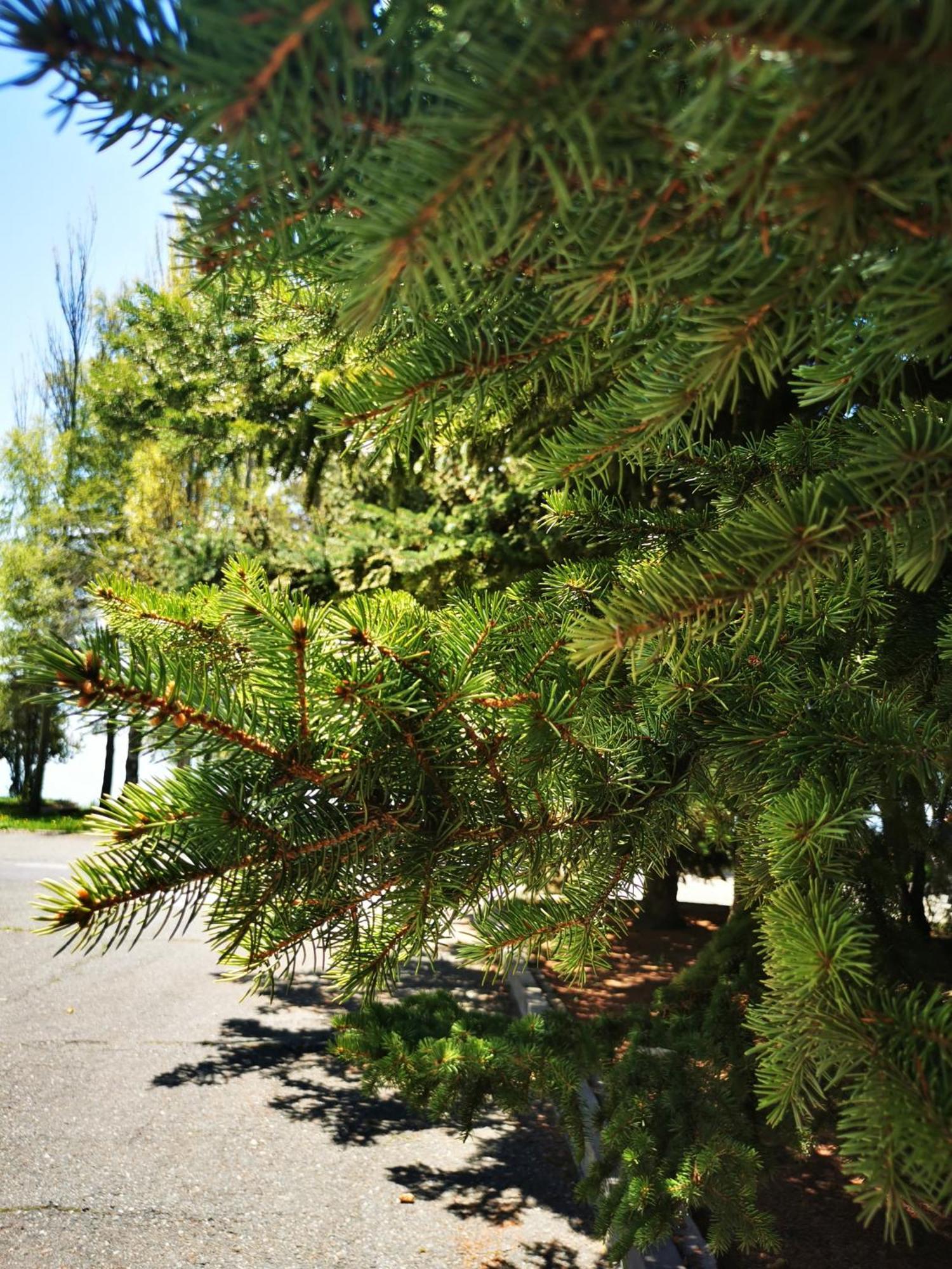 Blue Sevan Hotel Exterior foto